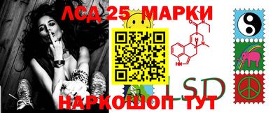 индика Каменск-Шахтинский