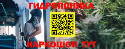 стаф Краснокаменск