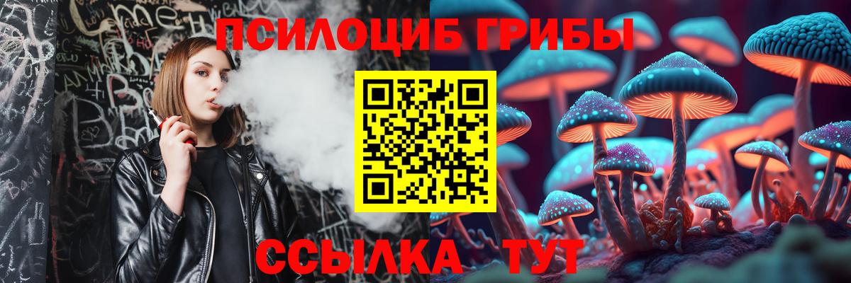Галлюциногенные грибы GOLDEN TEACHER  Вход с VPN  Дзержинск 